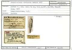 Karteikarte zum Holotyp von Frondicularia raricosta Karrer, 1877